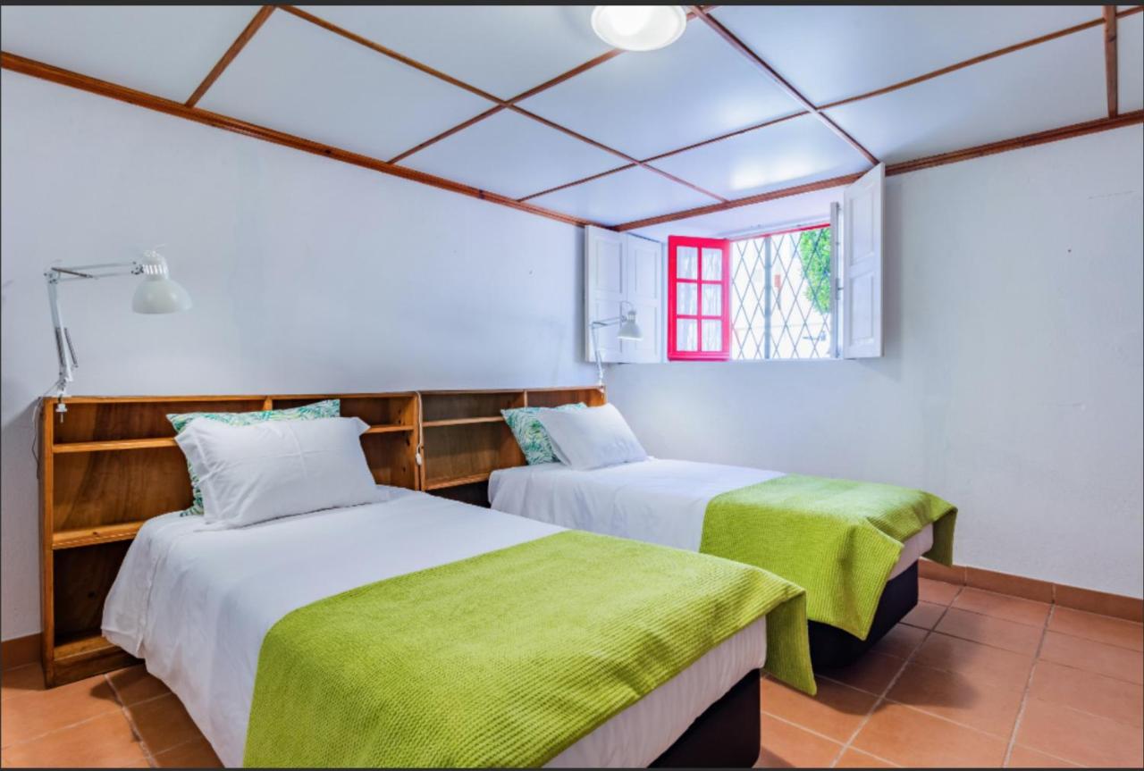 Imagem da Propriedade 10