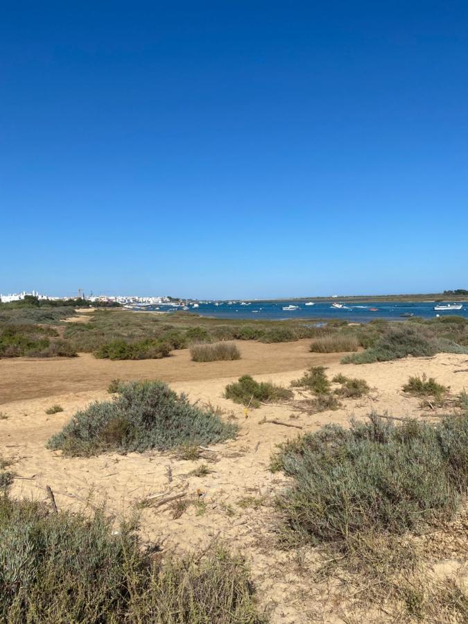 Imagem da Propriedade 96