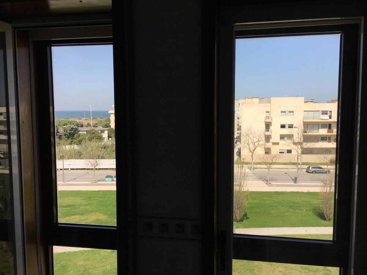 Imagem da Propriedade 11