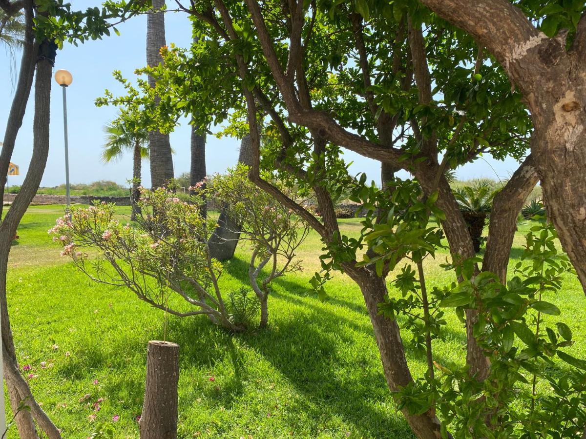 Imagem da Propriedade 129