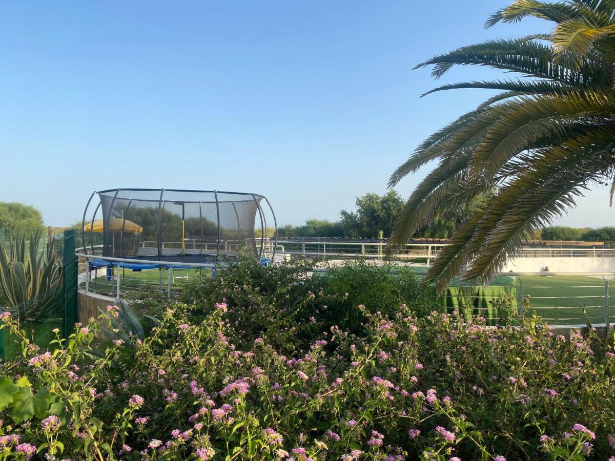 Imagem da Propriedade 141