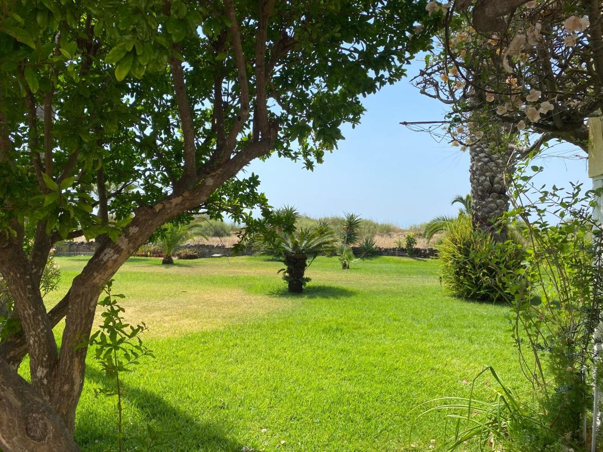 Imagem da Propriedade 149