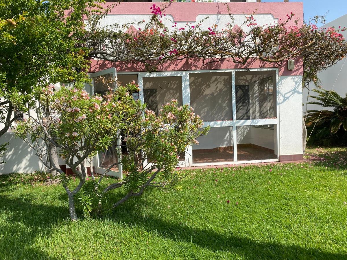 Imagem da Propriedade 152