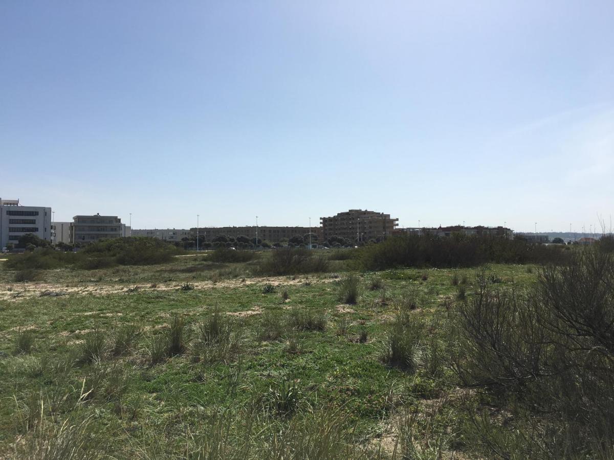 Imagem da Propriedade 53