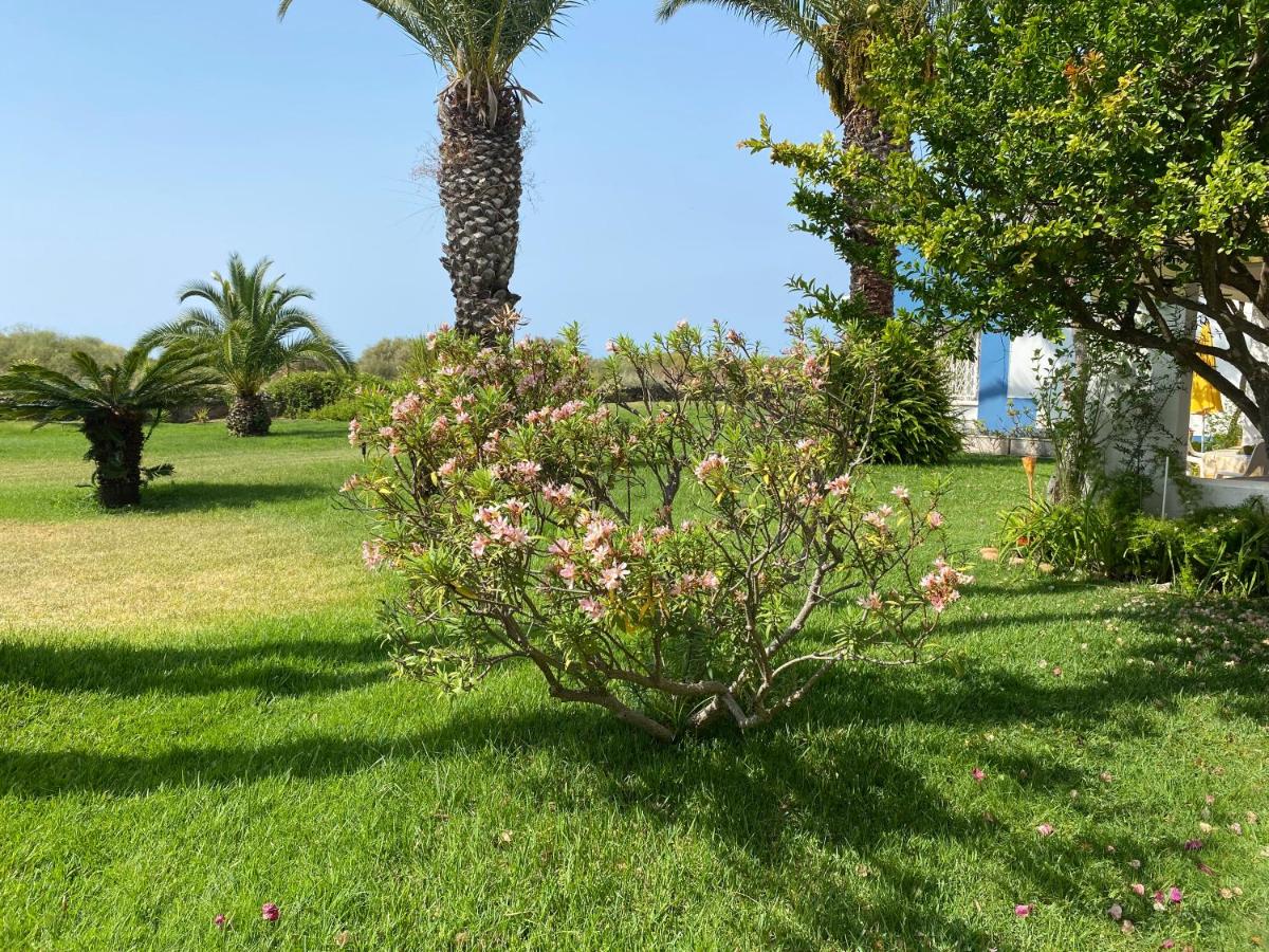 Imagem da Propriedade 170