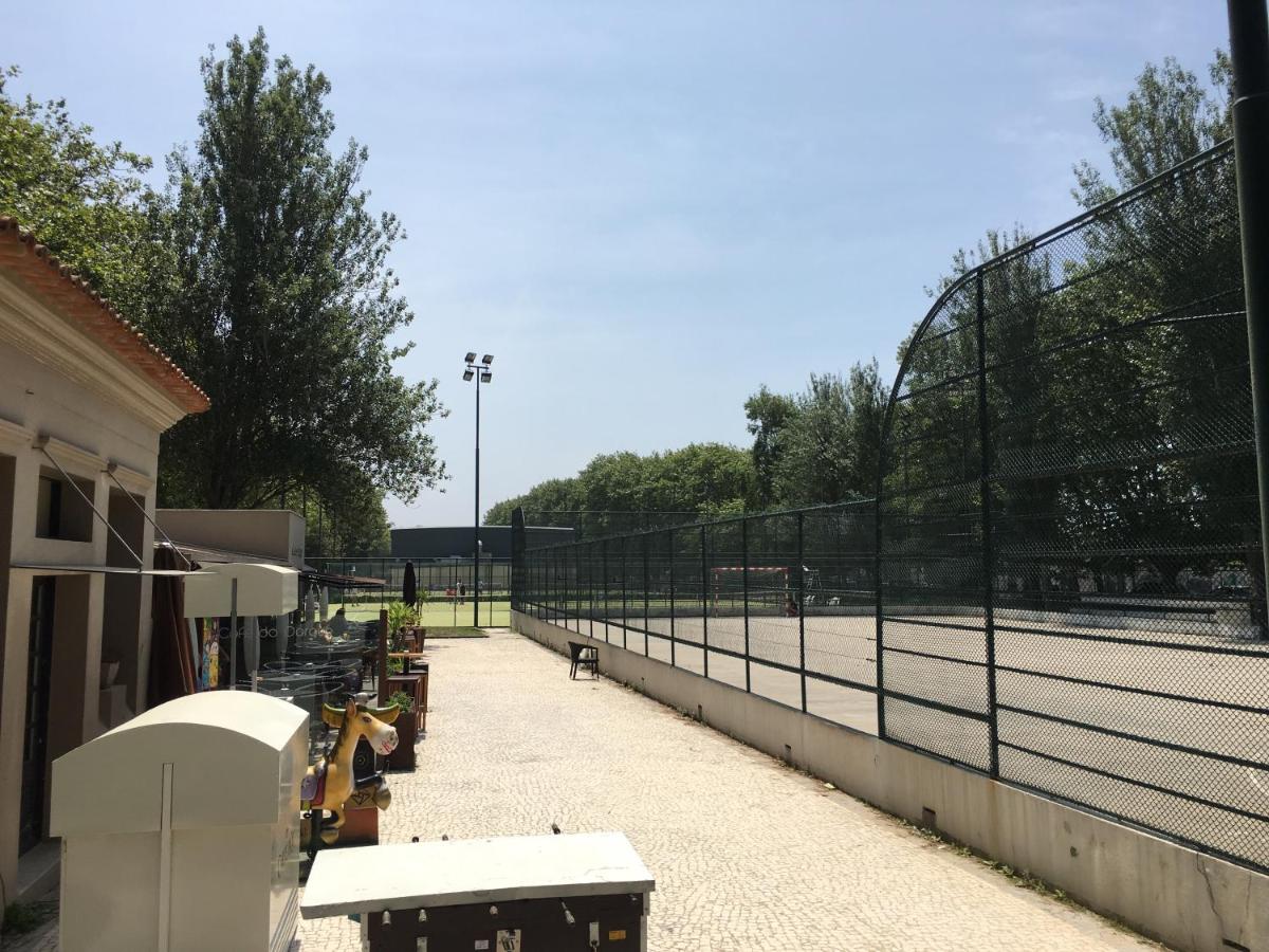 Imagem da Propriedade 116