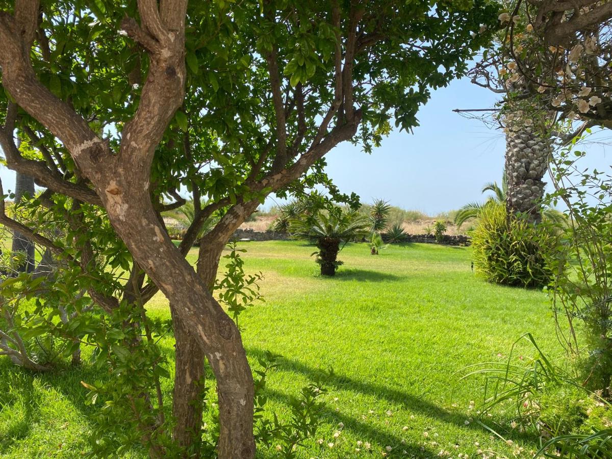 Imagem da Propriedade 187