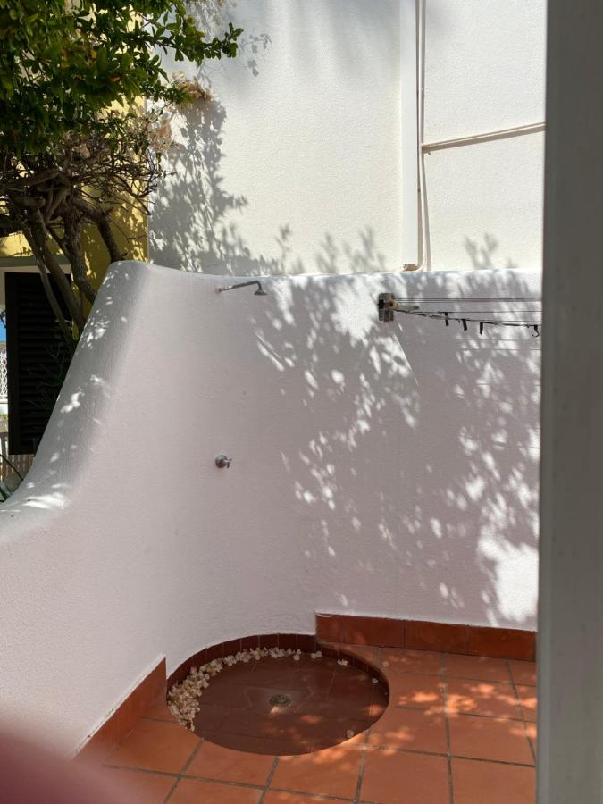 Imagem da Propriedade 216