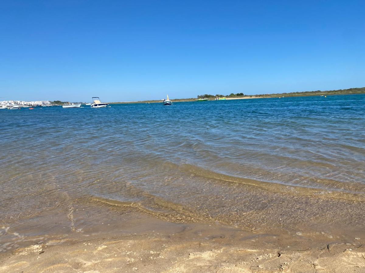 Imagem da Propriedade 235