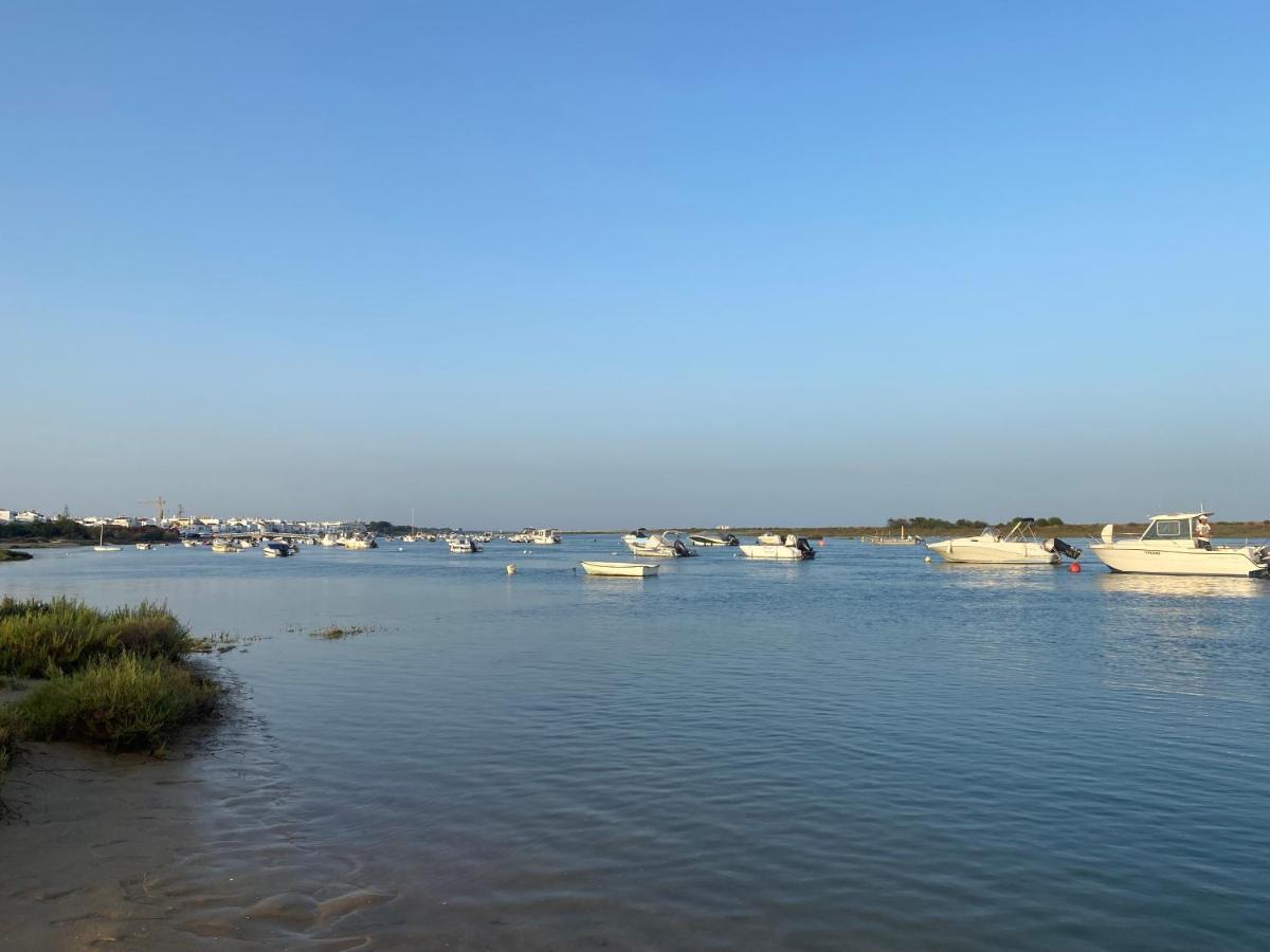 Imagem da Propriedade 247