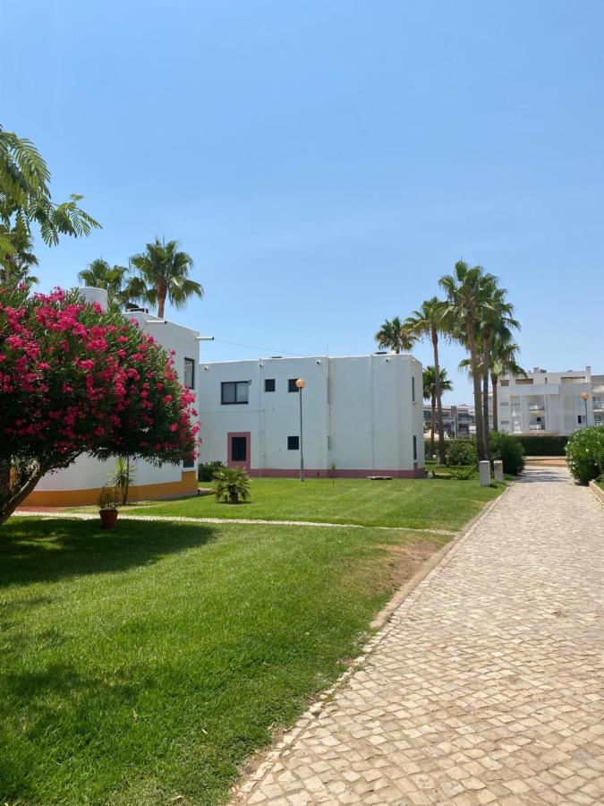 Imagem da Propriedade 255