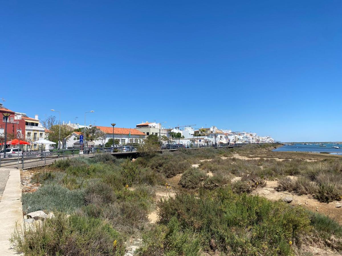 Imagem da Propriedade 263