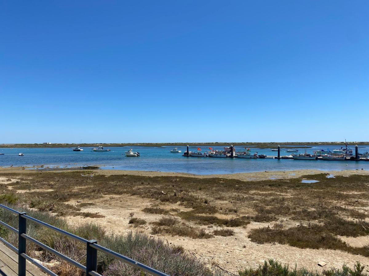 Imagem da Propriedade 264