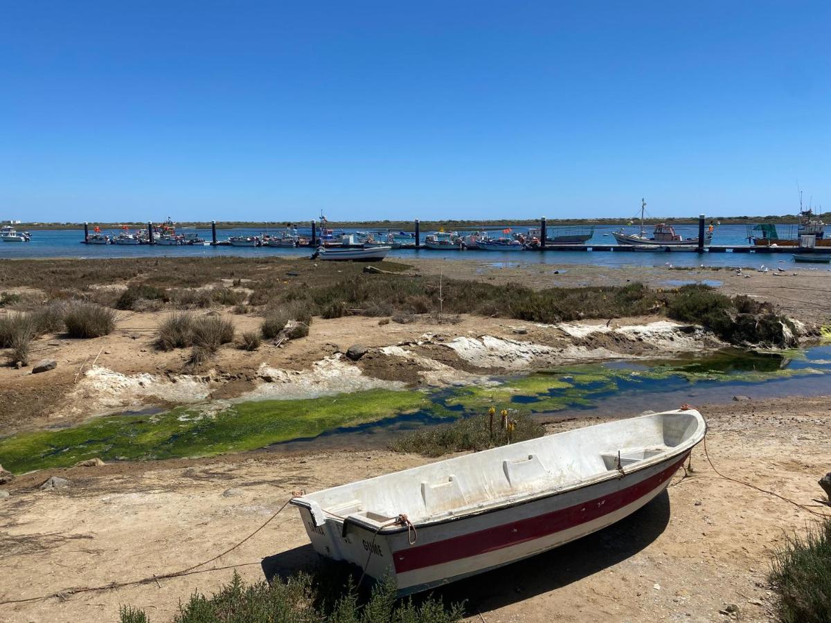 Imagem da Propriedade 271