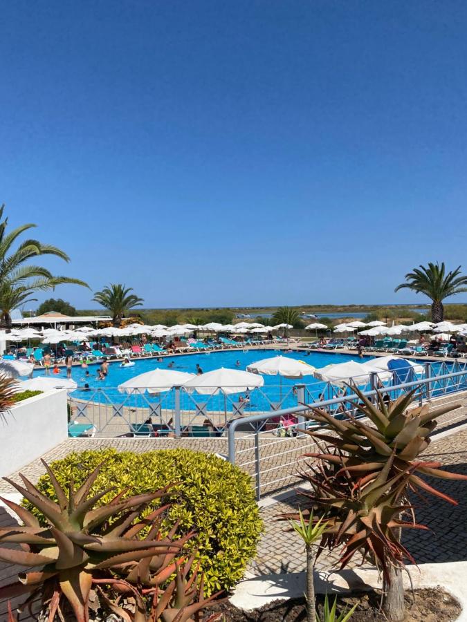 Imagem da Propriedade 41